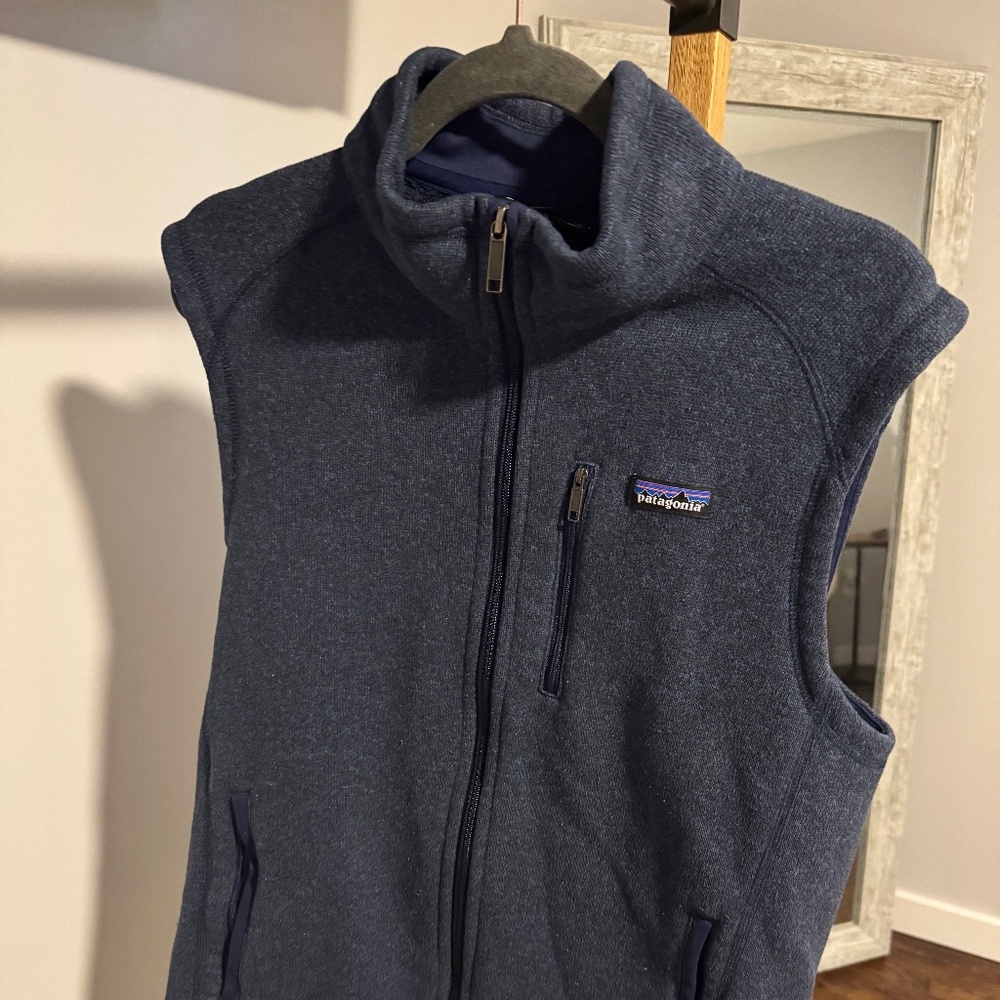 Patagonia Men's Vest